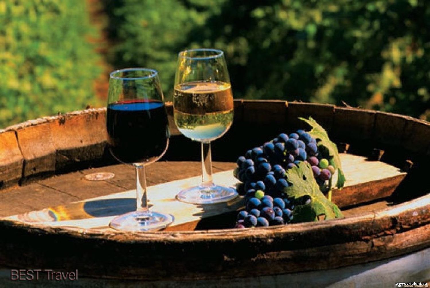 два бокала вина и гроздь винограда